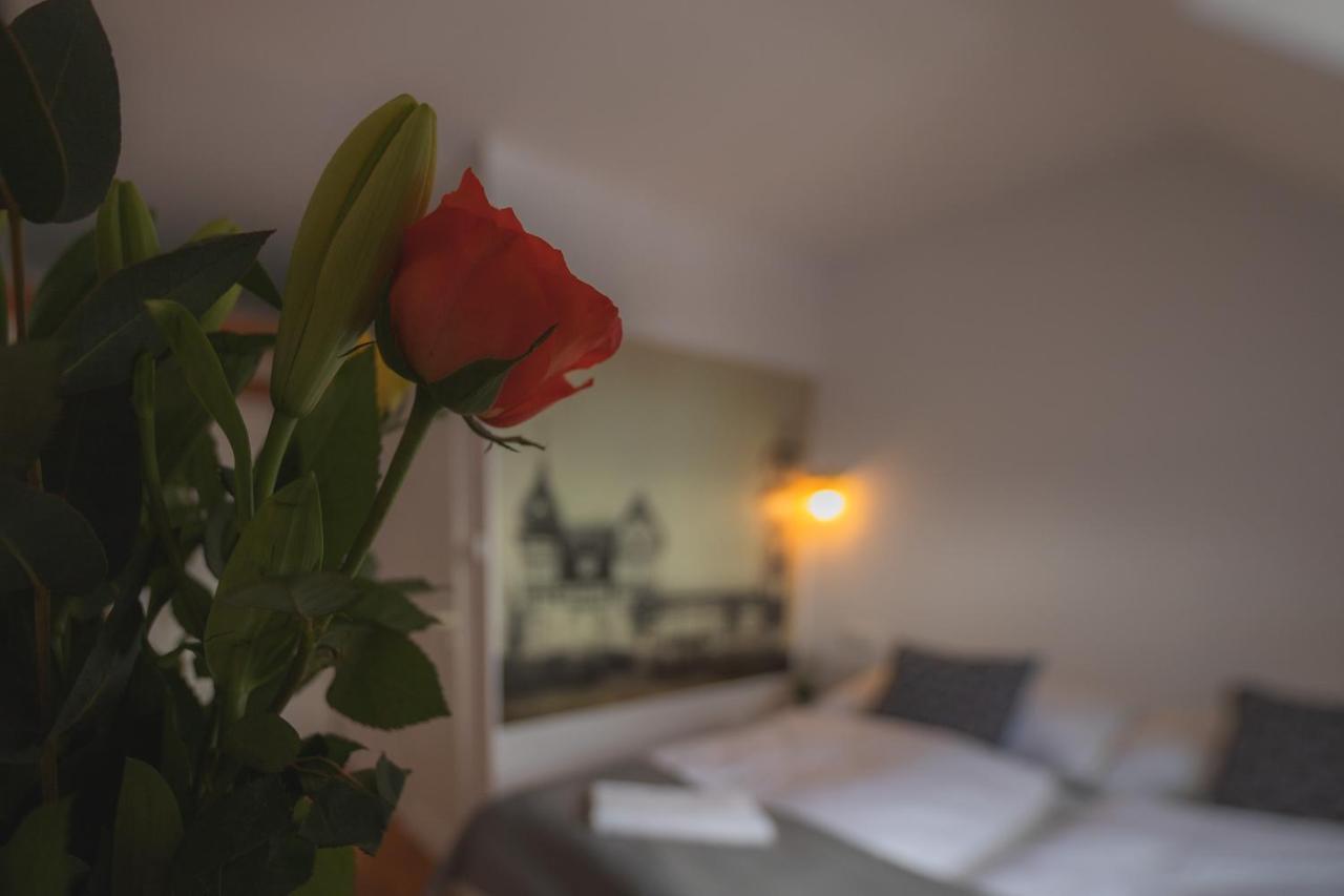Hotel Petrin Яблонец над Нисоу Екстериор снимка